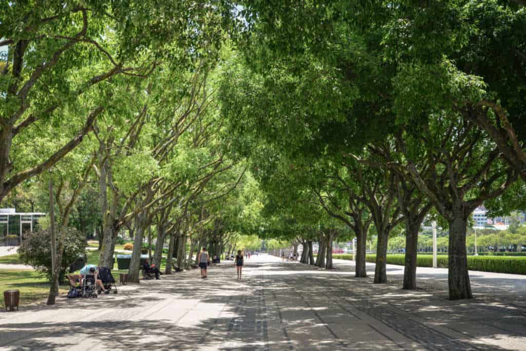 Park Edwarda VII - najciekawszy park w Lizbonie