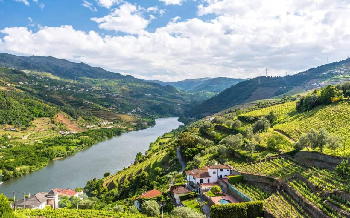 winnice w Portugalii